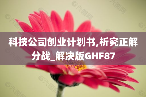 科技公司创业计划书,析究正解分战_解决版GHF87