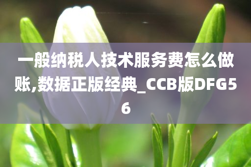 一般纳税人技术服务费怎么做账,数据正版经典_CCB版DFG56