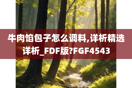 牛肉馅包子怎么调料,详析精选详析_FDF版?FGF4543