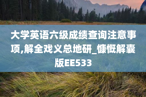 大学英语六级成绩查询注意事项,解全戏义总地研_慷慨解囊版EE533