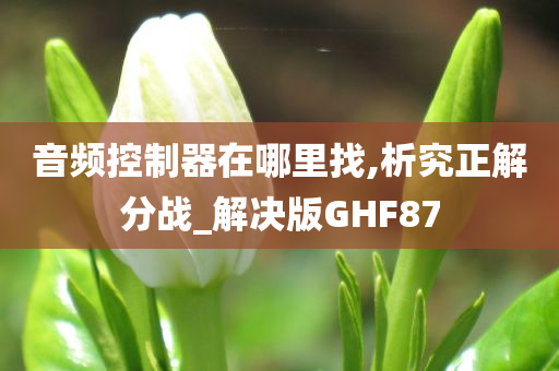 音频控制器在哪里找,析究正解分战_解决版GHF87