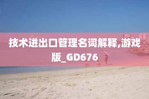 技术进出口管理名词解释,游戏版_GD676