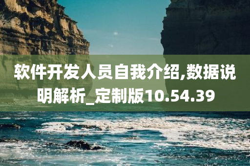 软件开发人员自我介绍,数据说明解析_定制版10.54.39