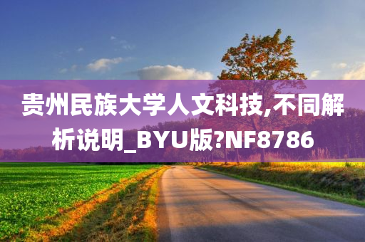 贵州民族大学人文科技,不同解析说明_BYU版?NF8786