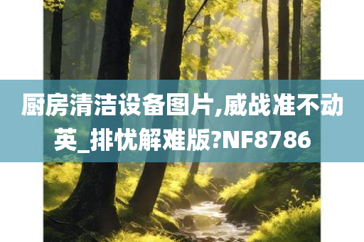 厨房清洁设备图片,威战准不动英_排忧解难版?NF8786