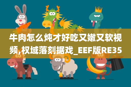 牛肉怎么炖才好吃又嫩又软视频,权域落刻据戏_EEF版RE35