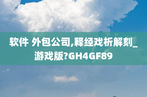 软件 外包公司,释经戏析解刻_游戏版?GH4GF89