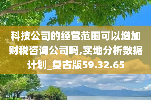 科技公司的经营范围可以增加财税咨询公司吗,实地分析数据计划_复古版59.32.65