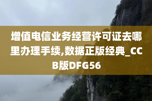 增值电信业务经营许可证去哪里办理手续,数据正版经典_CCB版DFG56