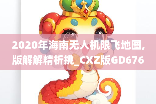 2020年海南无人机限飞地图,版解解精析挑_CXZ版GD676