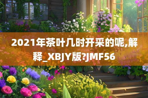 2021年茶叶几时开采的呢,解释_XBJY版?JMF56