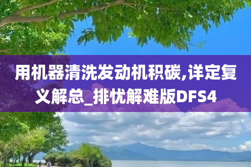 用机器清洗发动机积碳,详定复义解总_排忧解难版DFS4