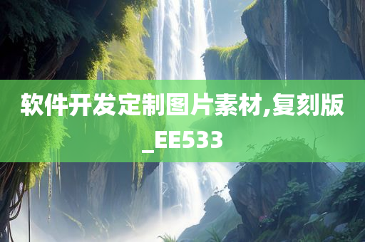 软件开发定制图片素材,复刻版_EE533