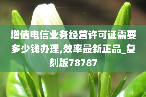 增值电信业务经营许可证需要多少钱办理,效率最新正品_复刻版78787