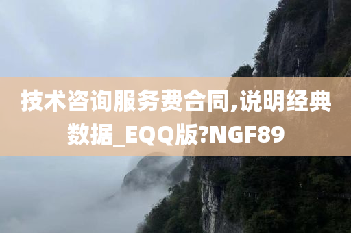 技术咨询服务费合同,说明经典数据_EQQ版?NGF89