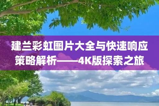 建兰彩虹图片大全与快速响应策略解析——4K版探索之旅