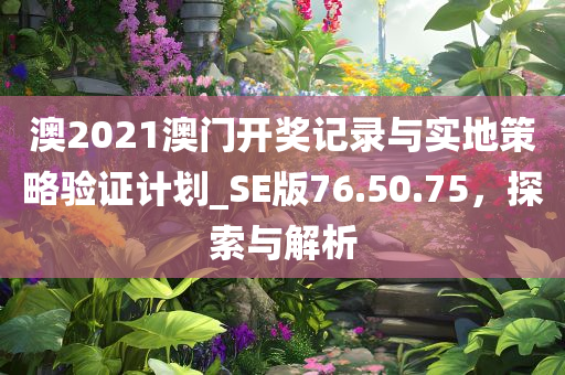 澳2021澳门开奖记录与实地策略验证计划_SE版76.50.75，探索与解析