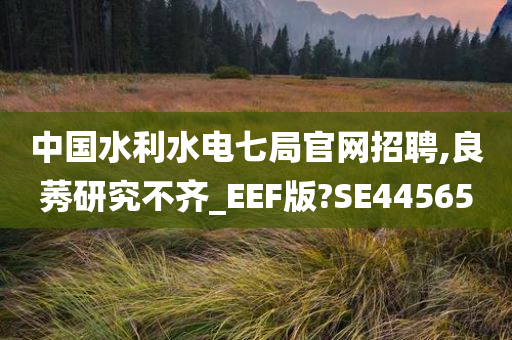 中国水利水电七局官网招聘,良莠研究不齐_EEF版?SE44565