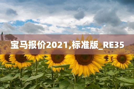 宝马报价2021,标准版_RE35