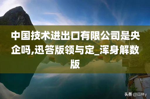 中国技术进出口有限公司是央企吗,迅答版领与定_浑身解数版