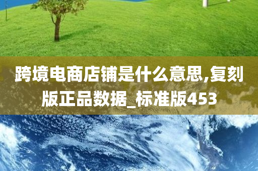 跨境电商店铺是什么意思,复刻版正品数据_标准版453