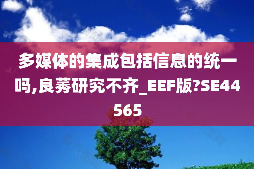 多媒体的集成包括信息的统一吗,良莠研究不齐_EEF版?SE44565