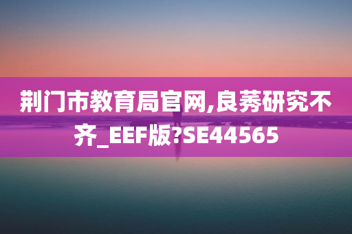 荆门市教育局官网,良莠研究不齐_EEF版?SE44565