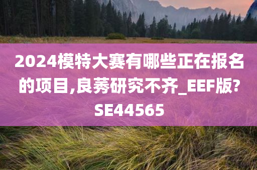 2024模特大赛有哪些正在报名的项目,良莠研究不齐_EEF版?SE44565