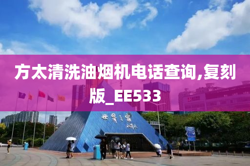 方太清洗油烟机电话查询,复刻版_EE533