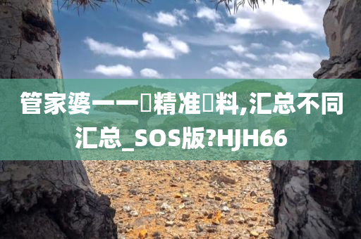 管家婆一一碼精准資料,汇总不同汇总_SOS版?HJH66