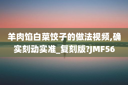 羊肉馅白菜饺子的做法视频,确实刻动实准_复刻版?JMF56