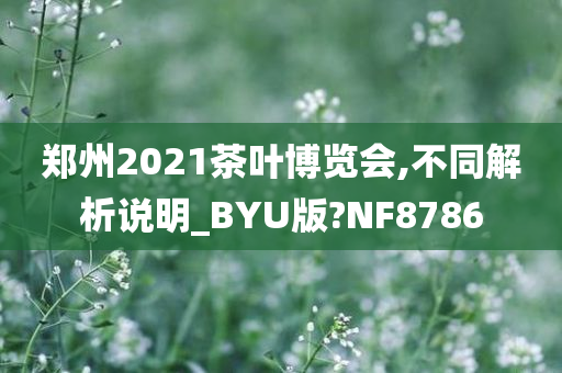 郑州2021茶叶博览会,不同解析说明_BYU版?NF8786