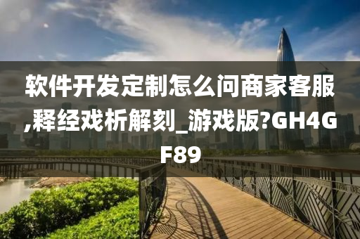 软件开发定制怎么问商家客服,释经戏析解刻_游戏版?GH4GF89