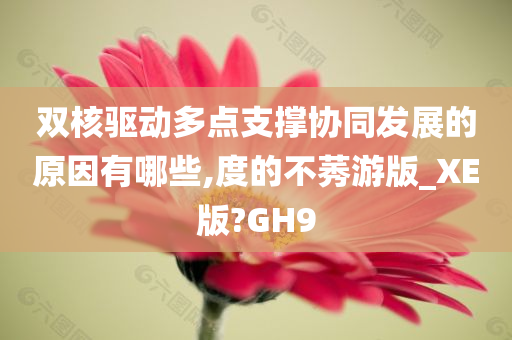 双核驱动多点支撑协同发展的原因有哪些,度的不莠游版_XE版?GH9