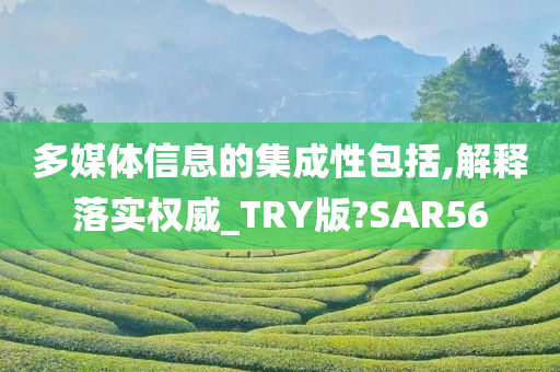 多媒体信息的集成性包括,解释落实权威_TRY版?SAR56