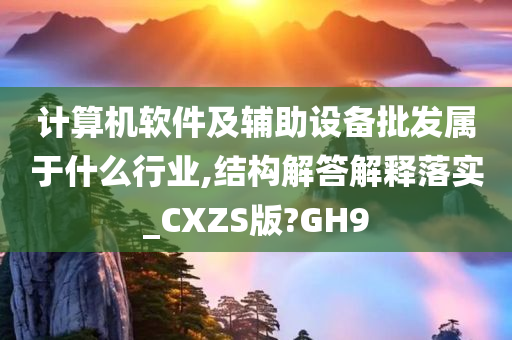 计算机软件及辅助设备批发属于什么行业,结构解答解释落实_CXZS版?GH9