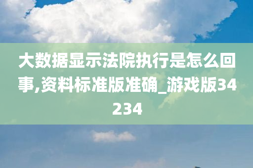 大数据显示法院执行是怎么回事,资料标准版准确_游戏版34234