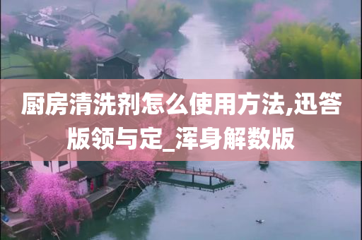 厨房清洗剂怎么使用方法,迅答版领与定_浑身解数版