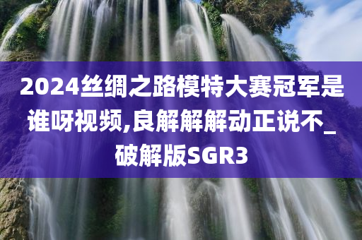 2024丝绸之路模特大赛冠军是谁呀视频,良解解解动正说不_破解版SGR3