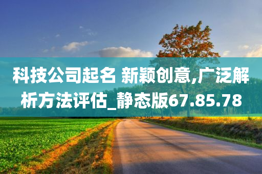 科技公司起名 新颖创意,广泛解析方法评估_静态版67.85.78