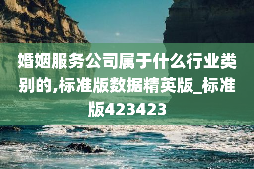 婚姻服务公司属于什么行业类别的,标准版数据精英版_标准版423423