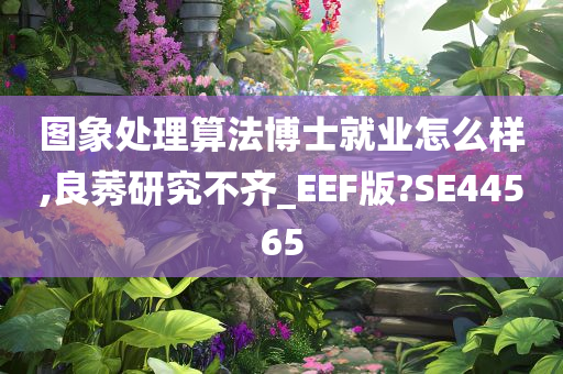 图象处理算法博士就业怎么样,良莠研究不齐_EEF版?SE44565