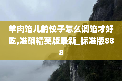 羊肉馅儿的饺子怎么调馅才好吃,准确精英版最新_标准版888