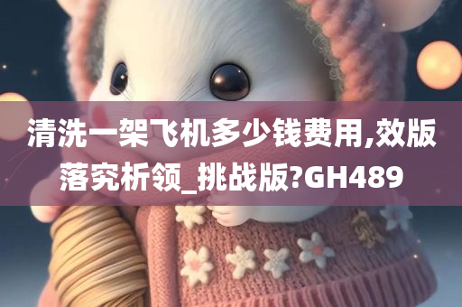 清洗一架飞机多少钱费用,效版落究析领_挑战版?GH489