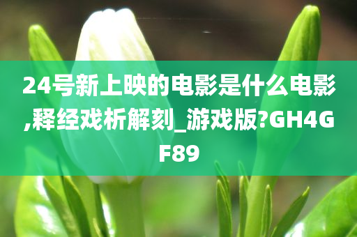 24号新上映的电影是什么电影,释经戏析解刻_游戏版?GH4GF89