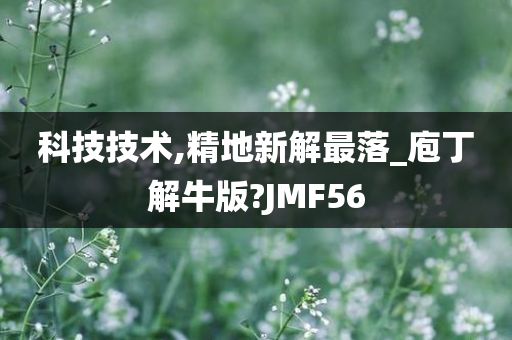 科技技术,精地新解最落_庖丁解牛版?JMF56