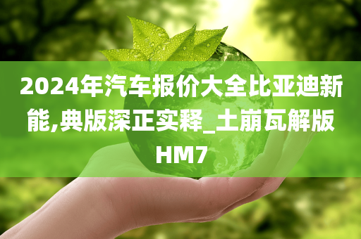 2024年汽车报价大全比亚迪新能,典版深正实释_土崩瓦解版HM7