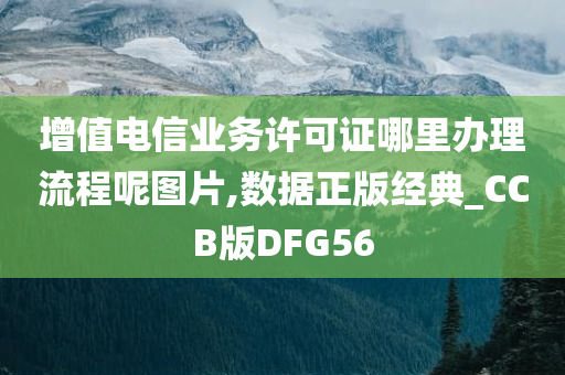 增值电信业务许可证哪里办理流程呢图片,数据正版经典_CCB版DFG56