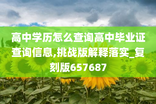 高中学历怎么查询高中毕业证查询信息,挑战版解释落实_复刻版657687