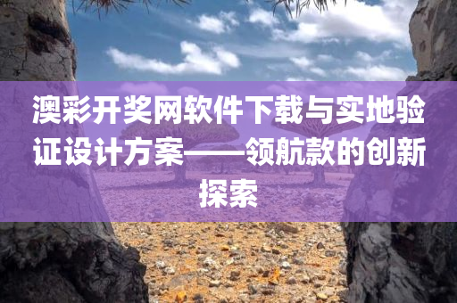 澳彩开奖网软件下载与实地验证设计方案——领航款的创新探索